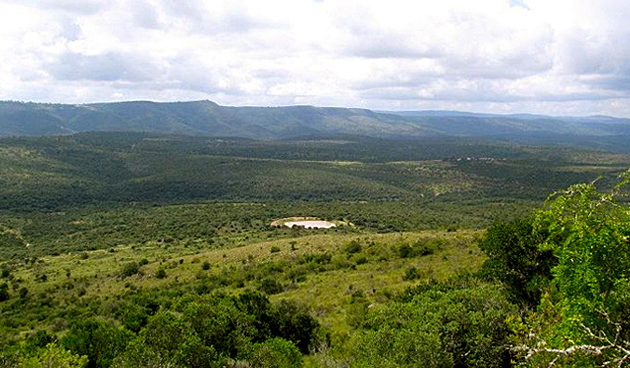 Rosedale Safaris &mdash; Photo slideshow