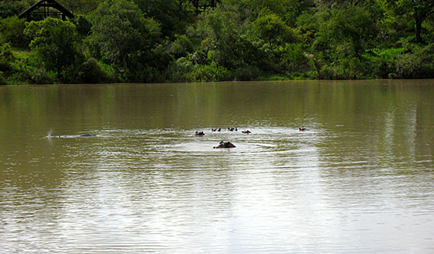 Rosedale Safaris &mdash; Photo slideshow