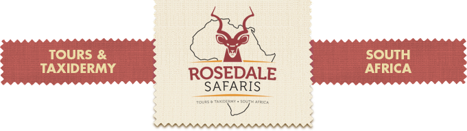Rosedale Safaris – Tours & Taxidermy – South Africa