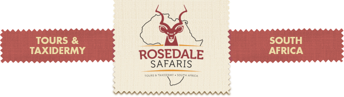 Rosedale Safaris &ndash; Tours & Taxidermy &ndash; South Africa